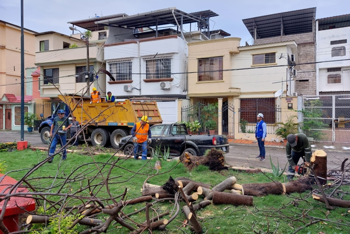 7 Empresas municipales atendieron 27 emergencias generadas por la lluvia