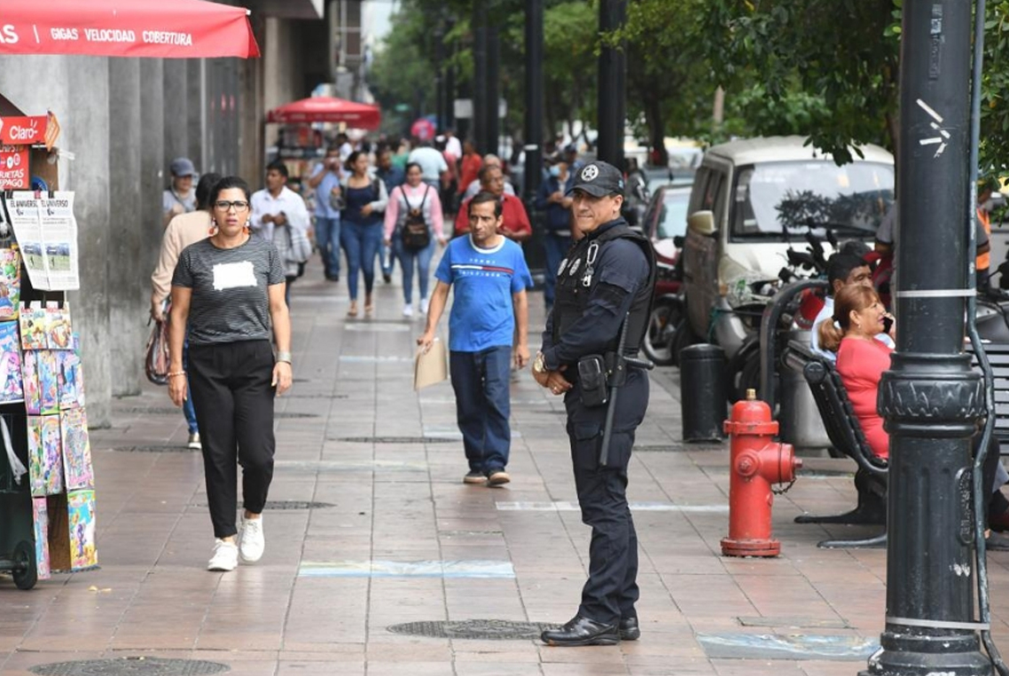 Delitos de oportunidad disminuyen 25% en distrito 9 de Octubre